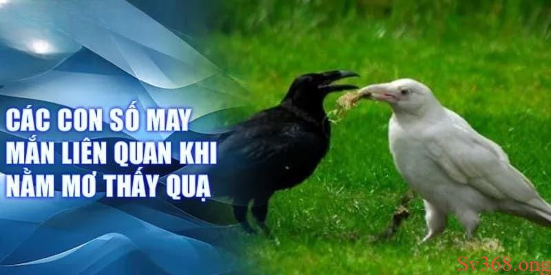 mơ thấy quạ đen mơ thấy quạ đen