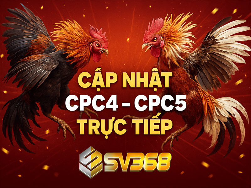 Cập Nhật Tín Hiệu Sảnh Đá Gà Ngày 05/10/2025 – Ưu Tiên CPC4 & CPC5 1 Cập Nhật Tín Hiệu Sảnh Đá Gà Ngày 05/10/2025 – Ưu Tiên CPC4 & CPC5