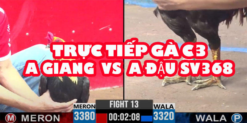 A Giang Thách Thức Đẳng Cấp SV368: So Kè A Đậu Trong Kèo 30 Triệu!