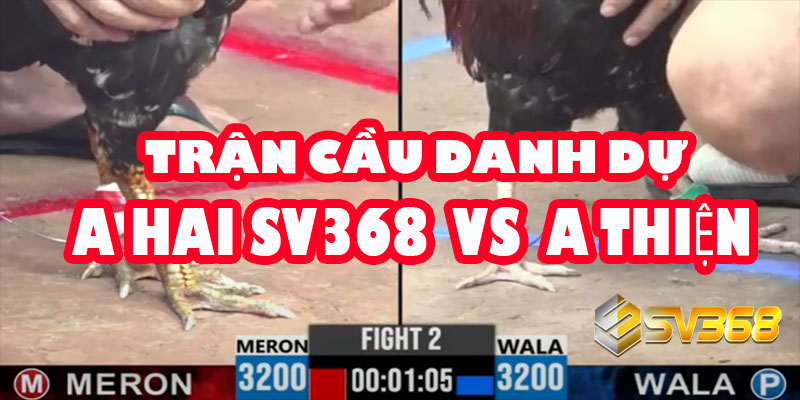 A Hai SV368 vs A Thiện | Trận Cầu Danh Dự Kèo 30 Triệu