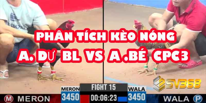 Phân Tích Kèo Nóng: A Dự Bảo Lộc vs A Bé - So Cựa Trận Xổ 50 Triệu